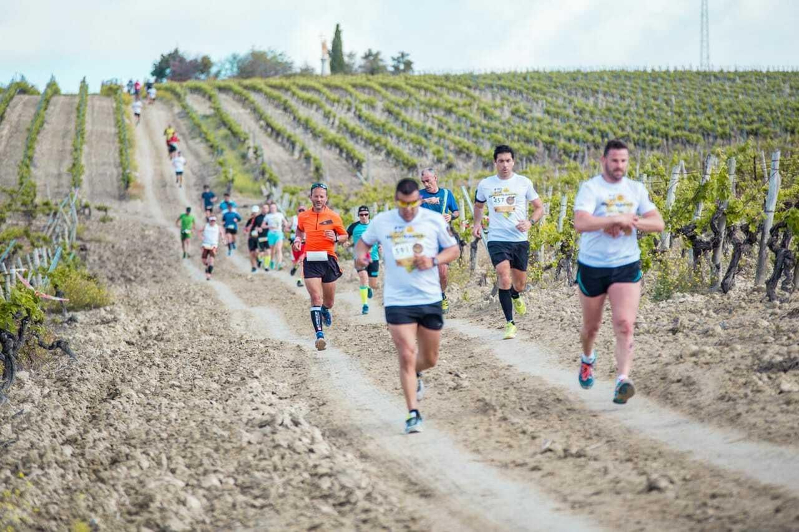 Imagen de la edición de 2018 del Sherry Maratón. Imagen de la edición de 2018 del Sherry Maratón.