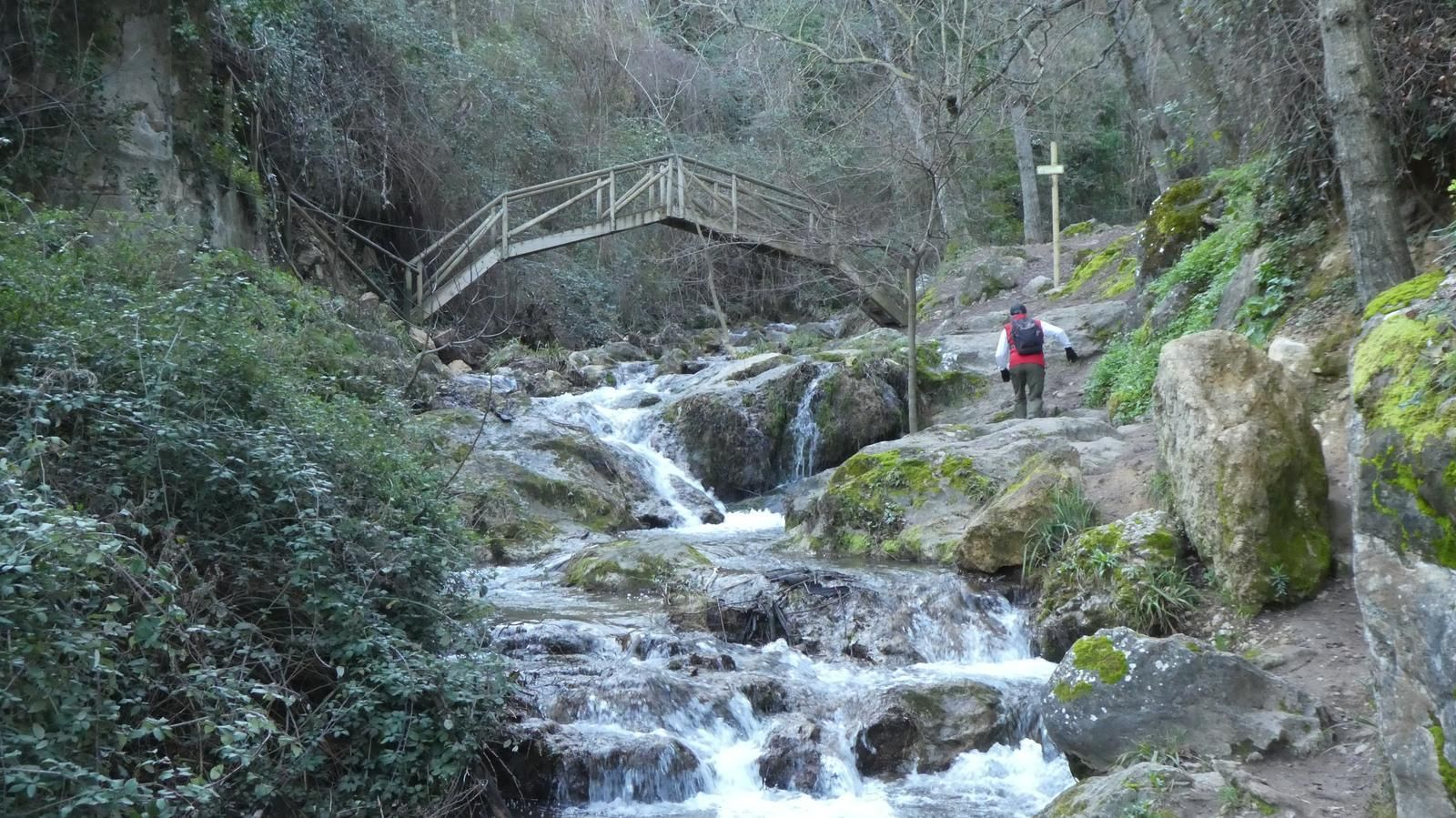 El sendero circular Río Cerezuelo está lleno de ascensos rocosos y puentes para atravesar de orilla a orilla.