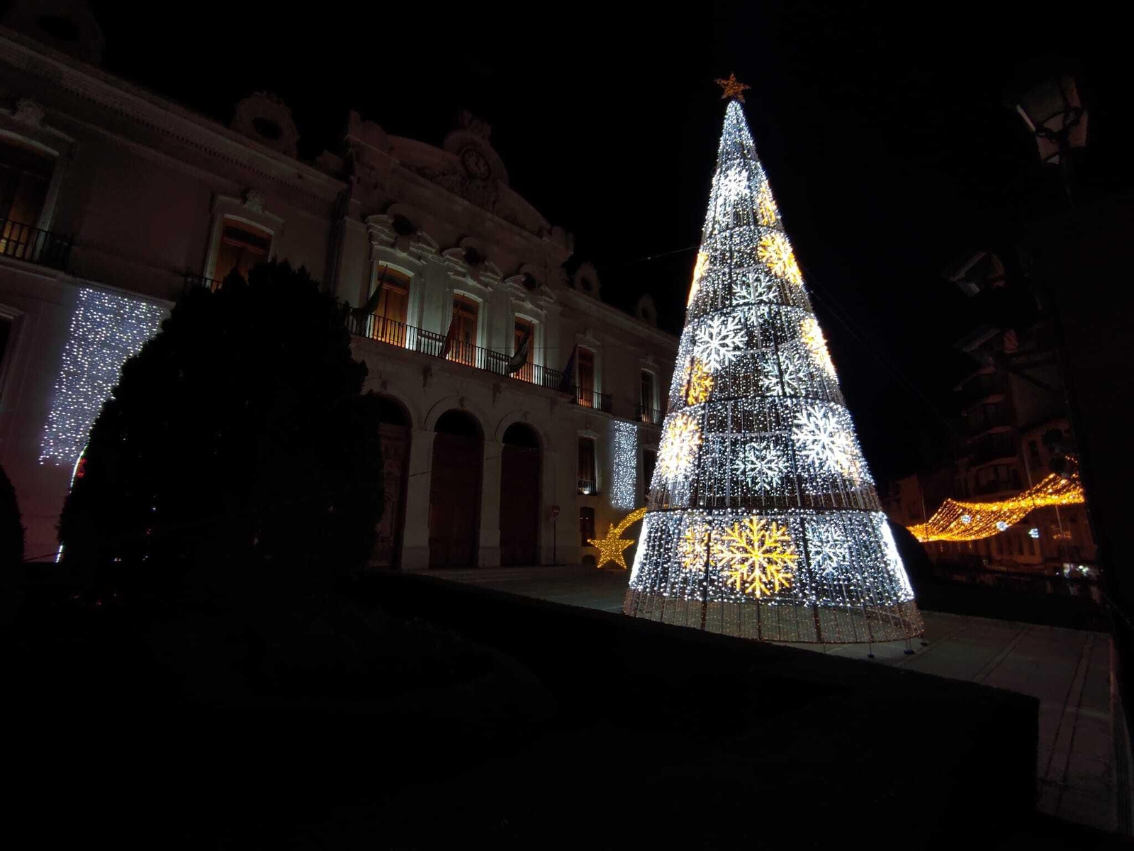 Arbol gigante de Navidad en la Lonja del Palacio Provincial.