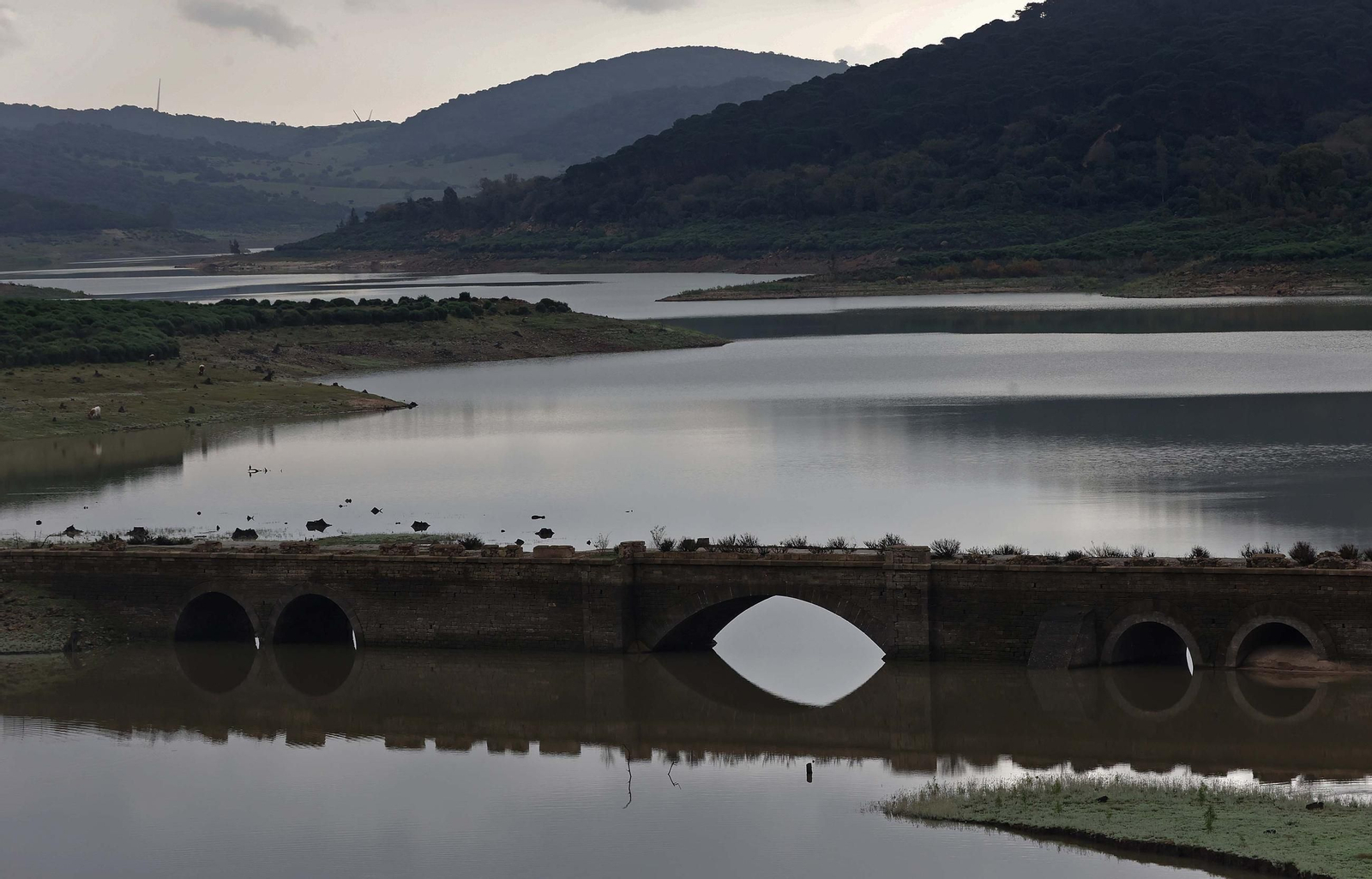 Fotos del pantano de Charco Redondo en Los Barrios