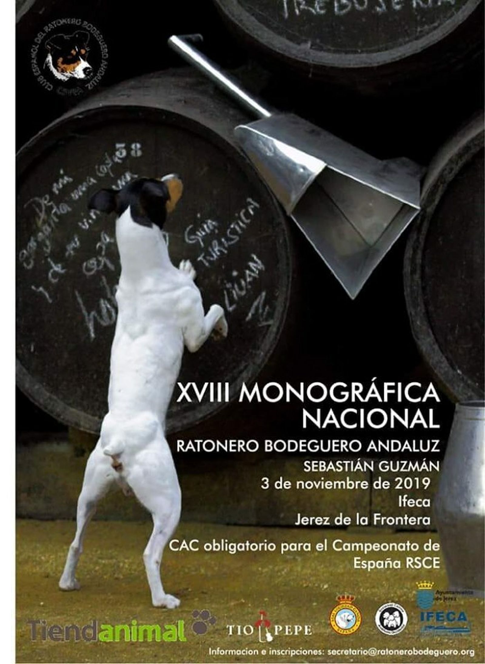 XVIII Ratón Bodeguero Andaluz