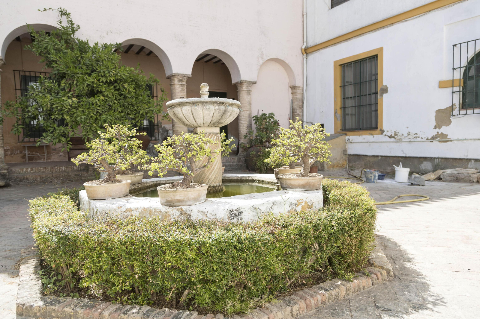 El cortijo de Gambogaz, en imágenes