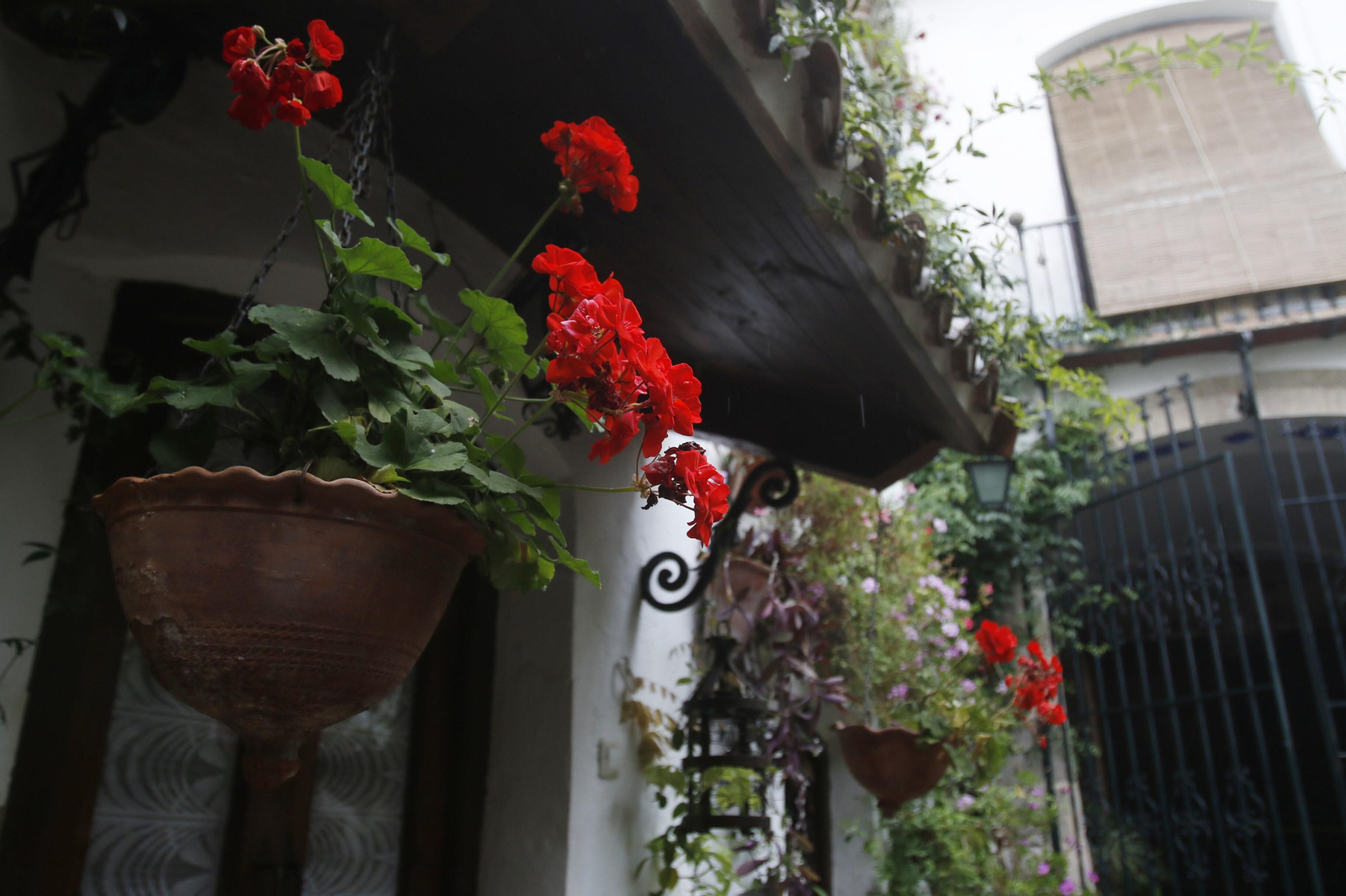 Las fotos de los Patios de Córdoba en tiempos de crisis: La Palma, 3