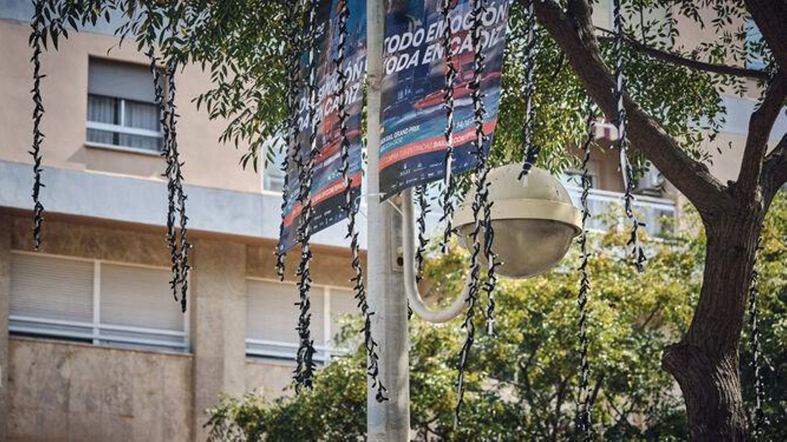Primeras luces de Navidad colocadas en Cádiz