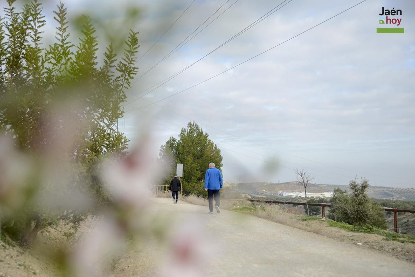 La Vía Verde del Aceite: un paseo con vistas para disfrutar en bicicleta o haciendo senderismo