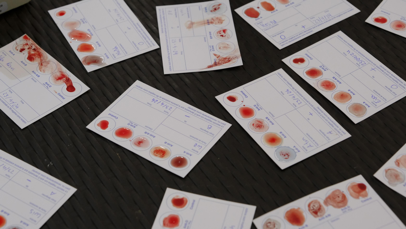 Imágenes de la Feria de la Innovación y la Ciencia en la Universidad de Almería-UAL