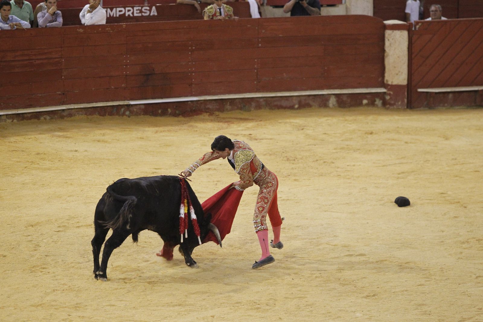 Fotogalería novillada Escuela Taurina de Almería. Feria de Almería 2019