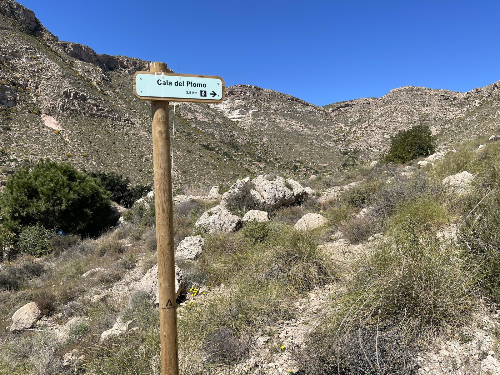 Casi 4 kilómetros de camino