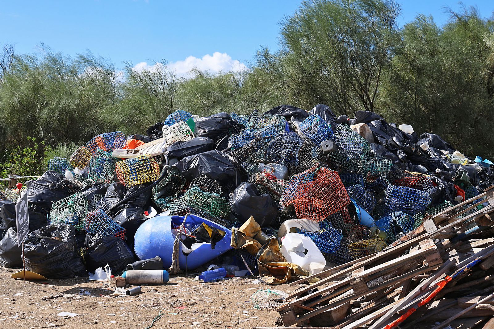 Imágenes de la Acción medioambiental de limpieza en la playa del Espigón, organizada por Gañafote Cup