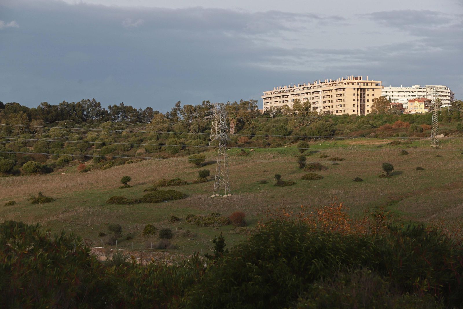 Los terrenos que serán urbanizados en el Cortijo San Bernabé.