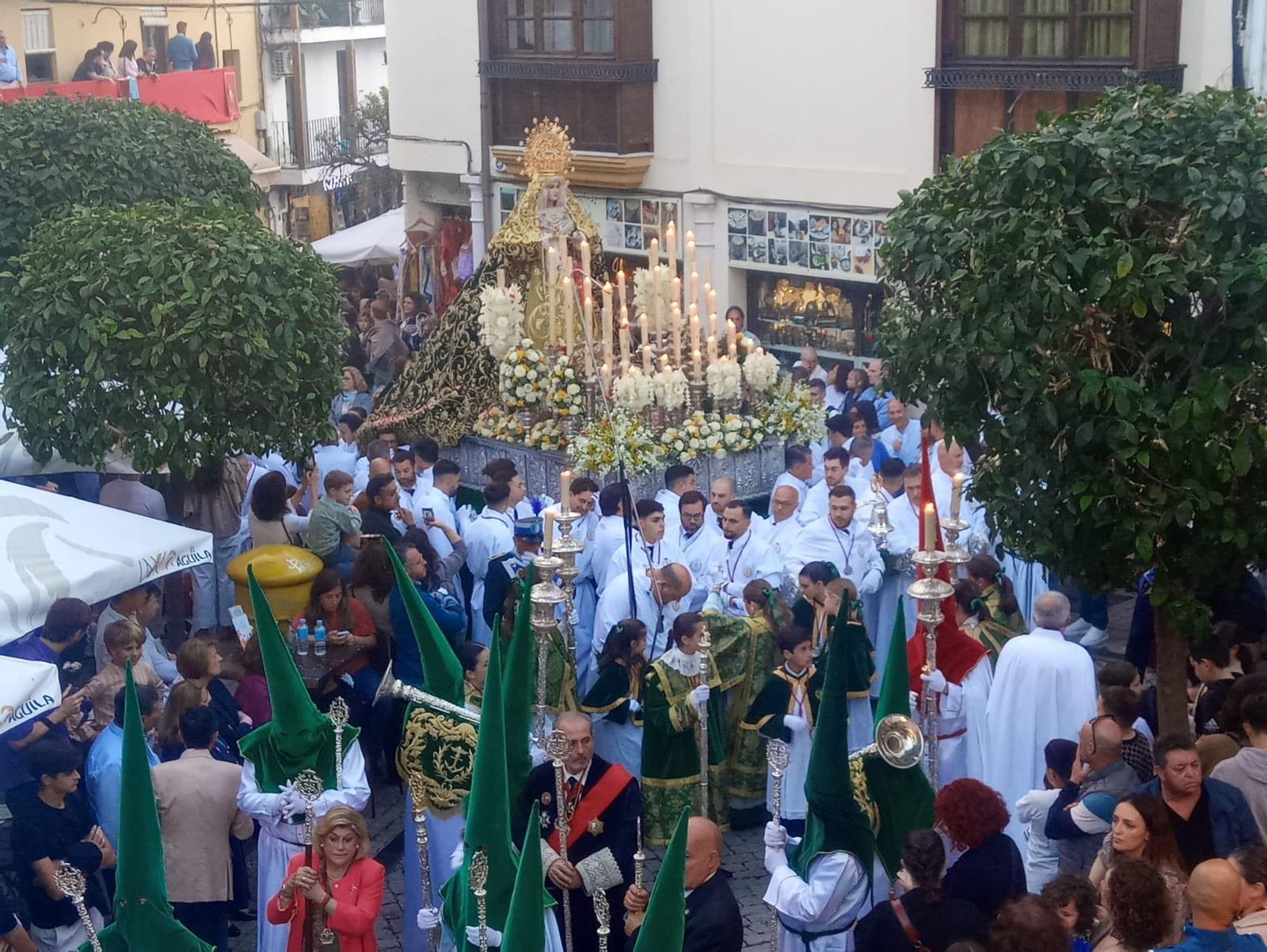 La Pollinica el Domingo de Ramos en Marbella, en imágenes