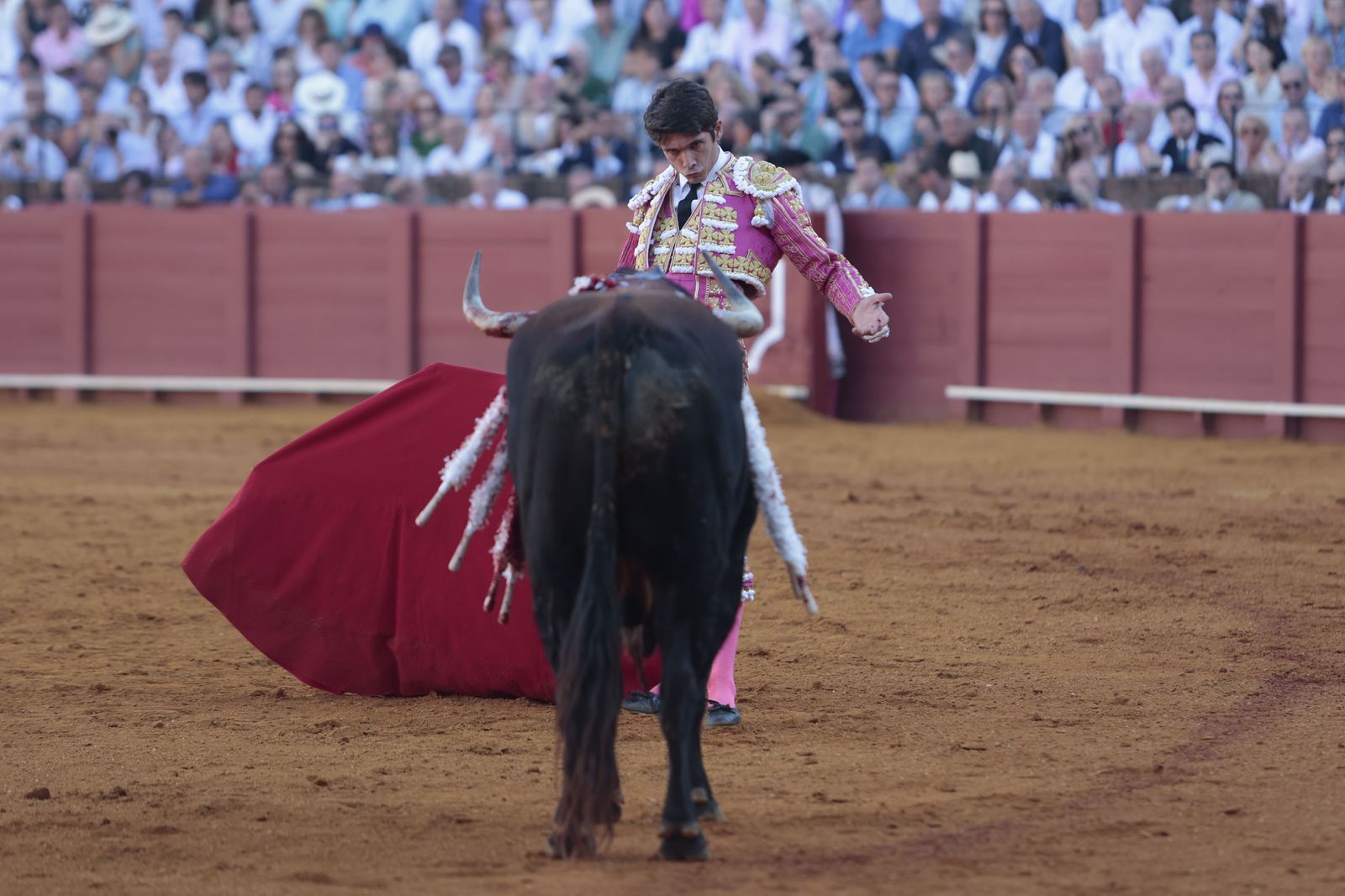 El triunfo de Castella en imágenes
