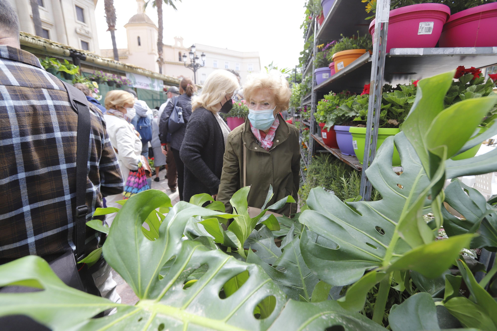 Imágenes del 'V Mercado de Flores y Plantas de Huelva' en la Plaza de Las Monjas