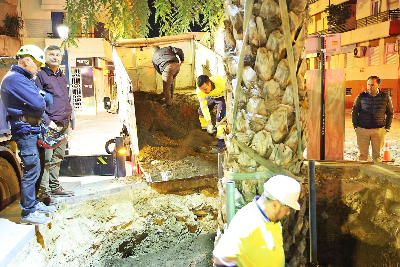 Las mejores imágenes de la plantación de la nueva palmera de Huelvaga