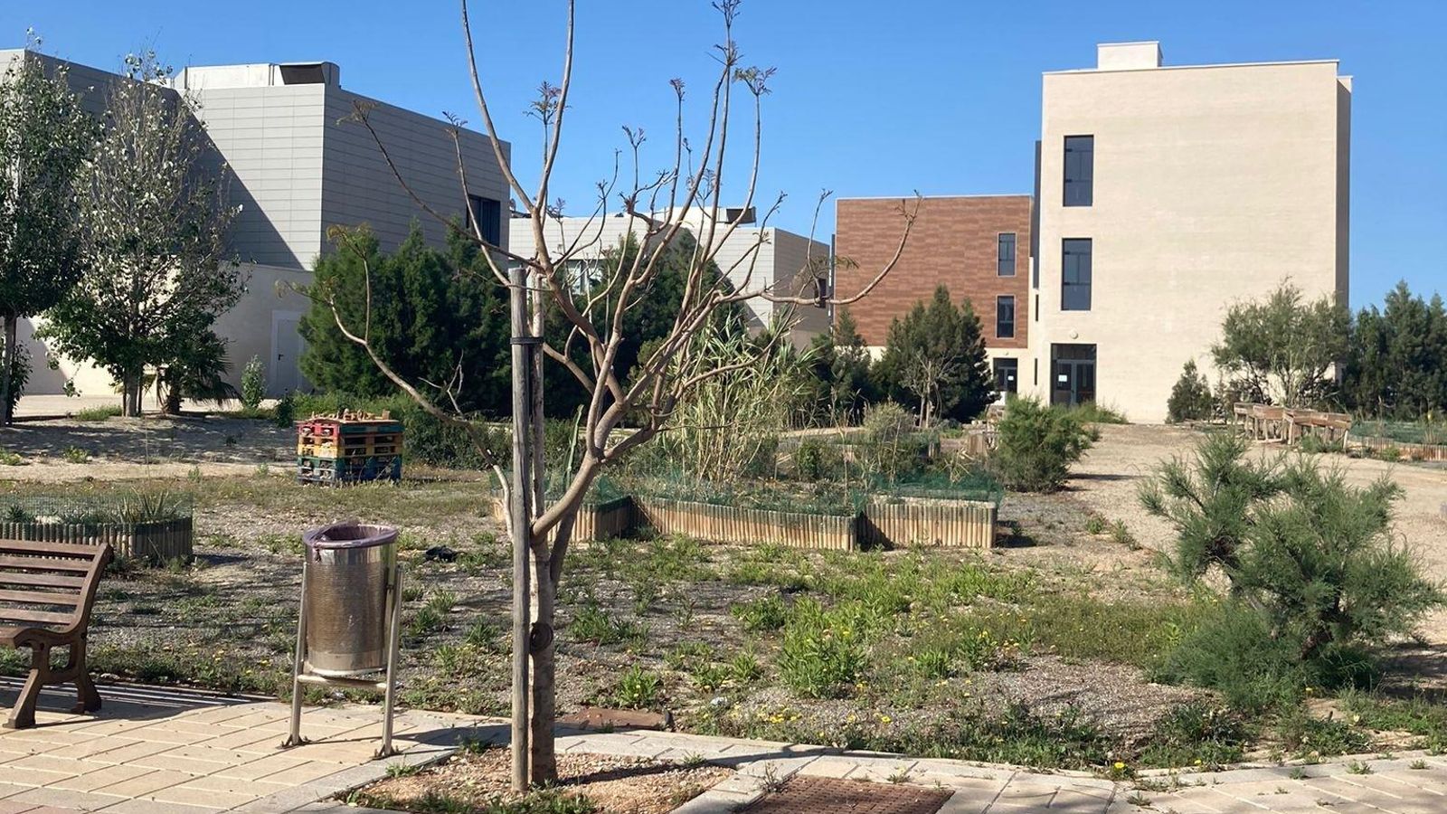 Solar donde se va a construir la nueva edificación junto a la Facultad de Ciencias de la Salud de la Universidad de Almería Solar donde se va a construir la nueva edificación junto a la Facultad de Ciencias de la Salud de la Universidad de Almería