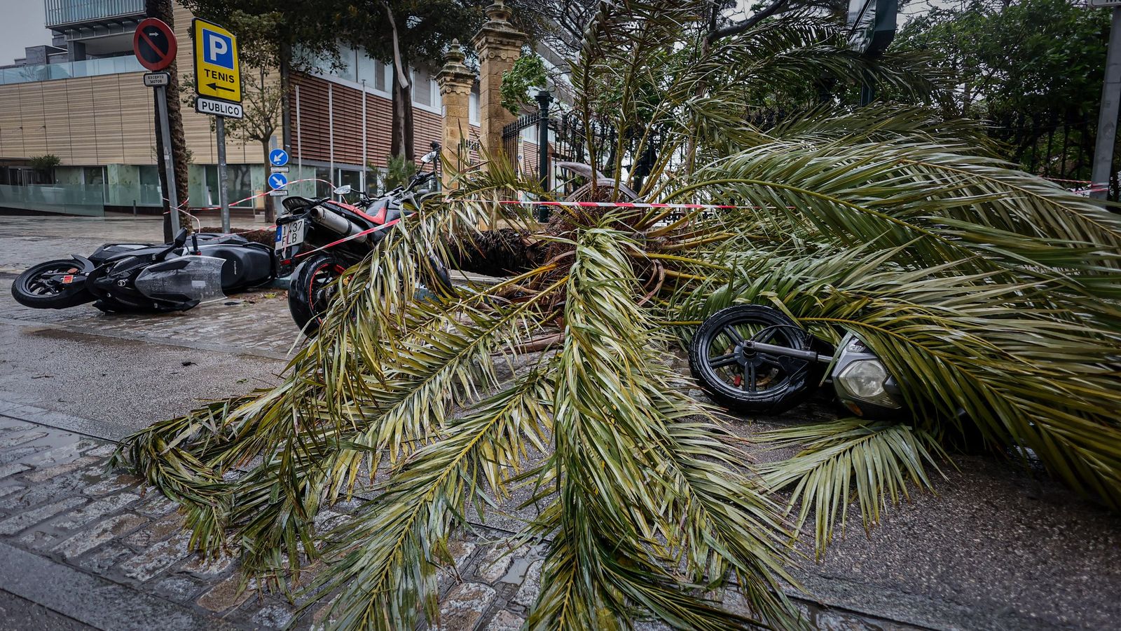 Imágenes de las incidencias y destrozos provocados por la borrasca Kristin en Cádiz