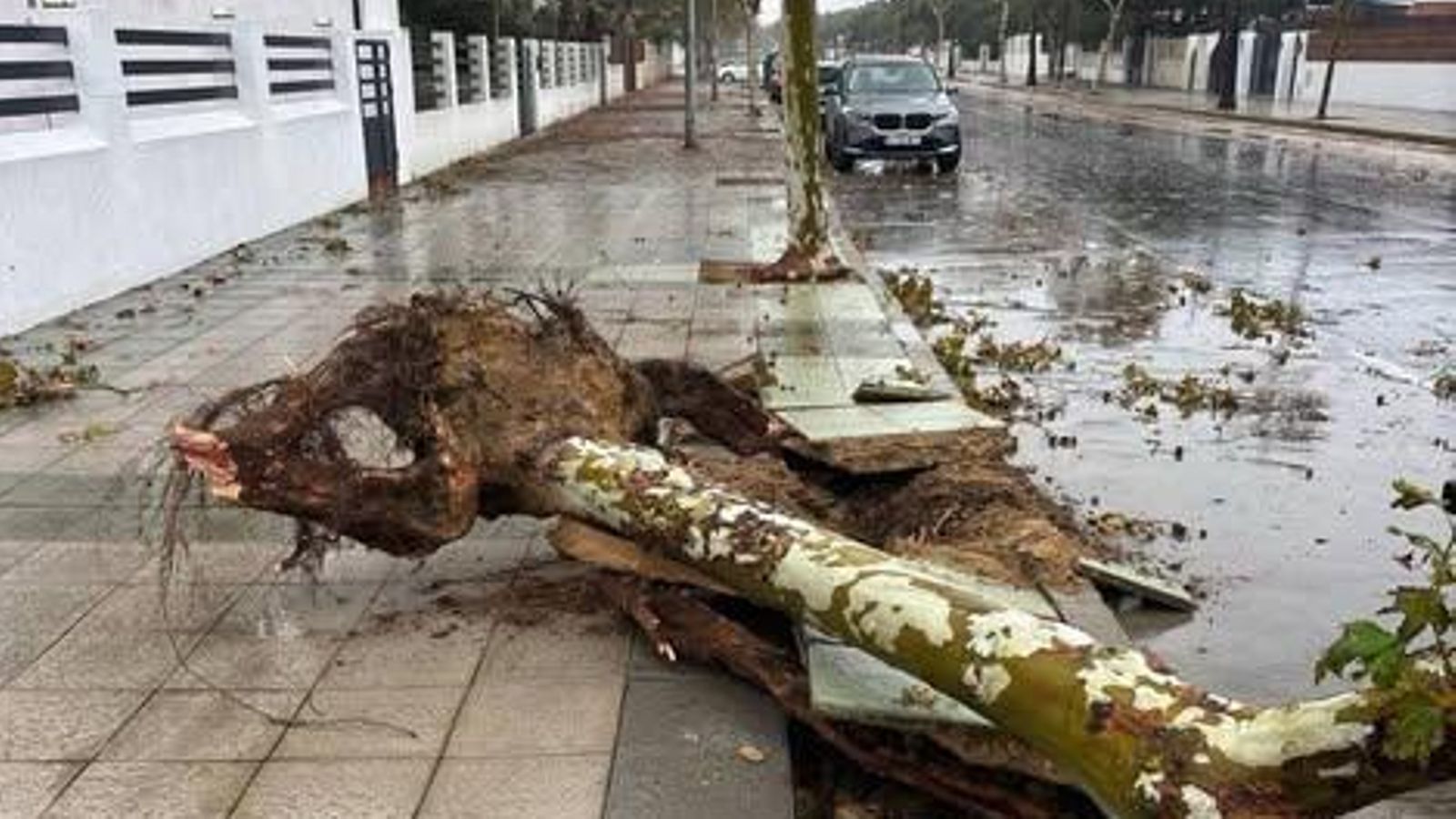 La avenida del Oceáno de Punta Umbría, este jueves.