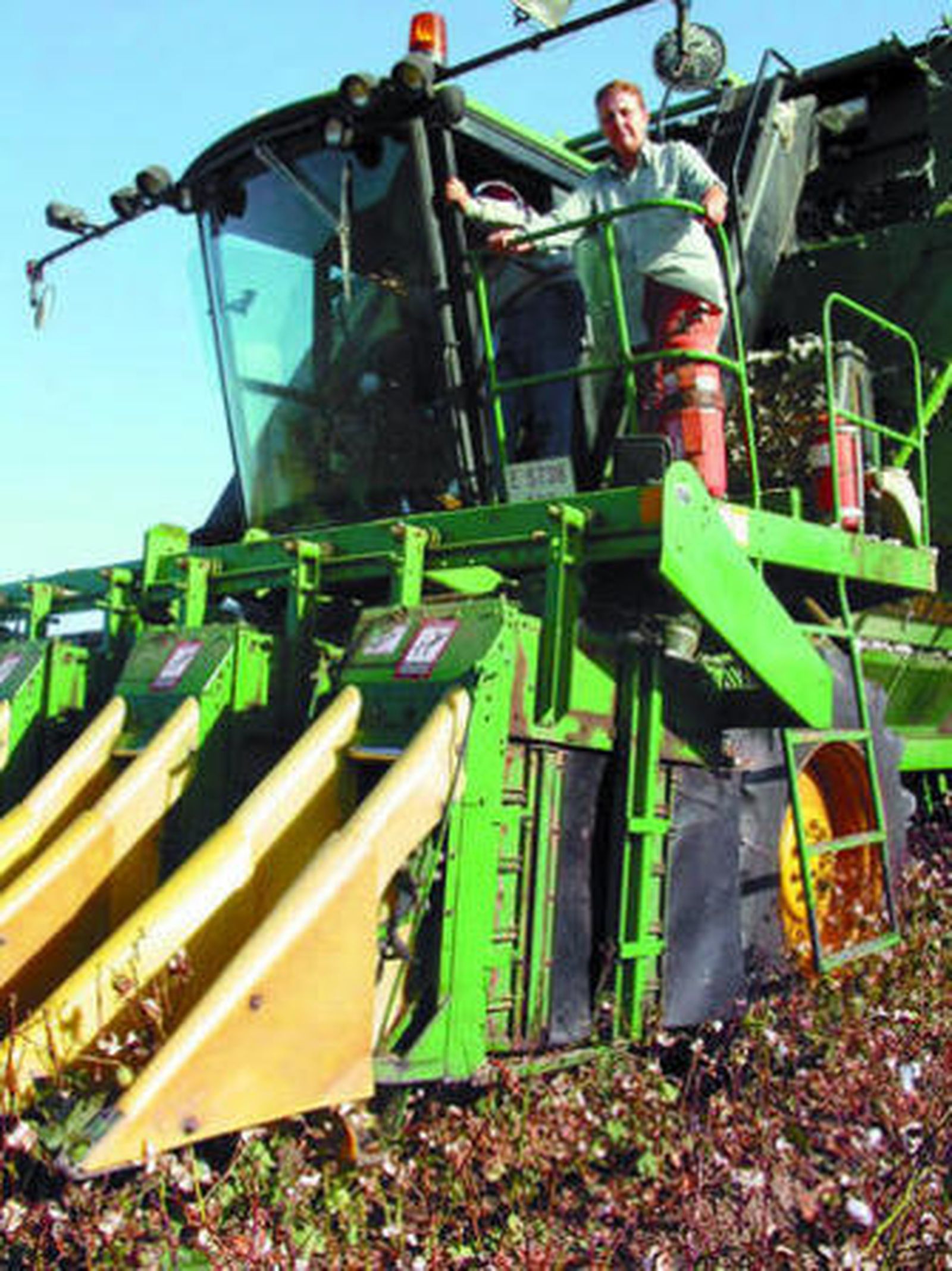 Las mujeres rurales son cada vez más 'visibles' en la agricultura.