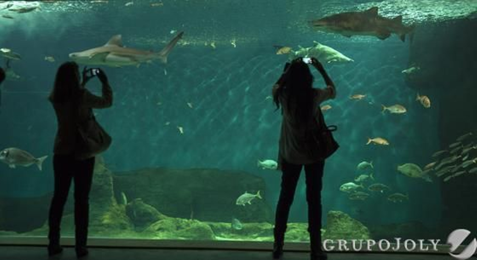 Foto: Antonio Pizarro