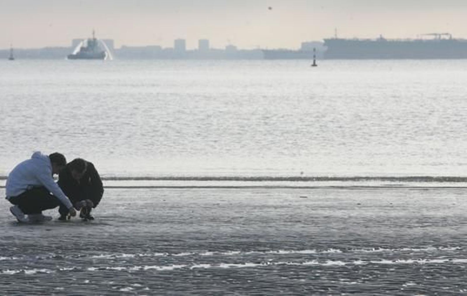 La marea histórica se vivió en las playas del Campo de Gibraltar con mucha espectación, sobre todo en la de Poniente de La Línea y El Rinconcillo de Algeciras./Fotos:Paco Guerrero/Shus Terán/J.M.Quiñones

Foto: Paco Guerrero/J.M.Q./Shus Teran/
