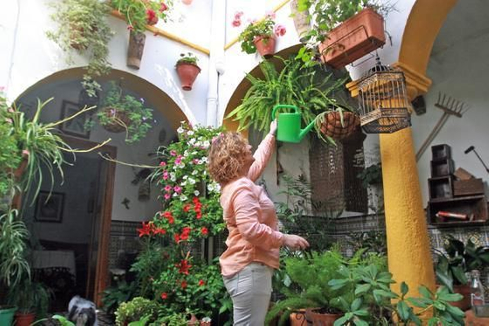 Foto: O. Barrionuevo