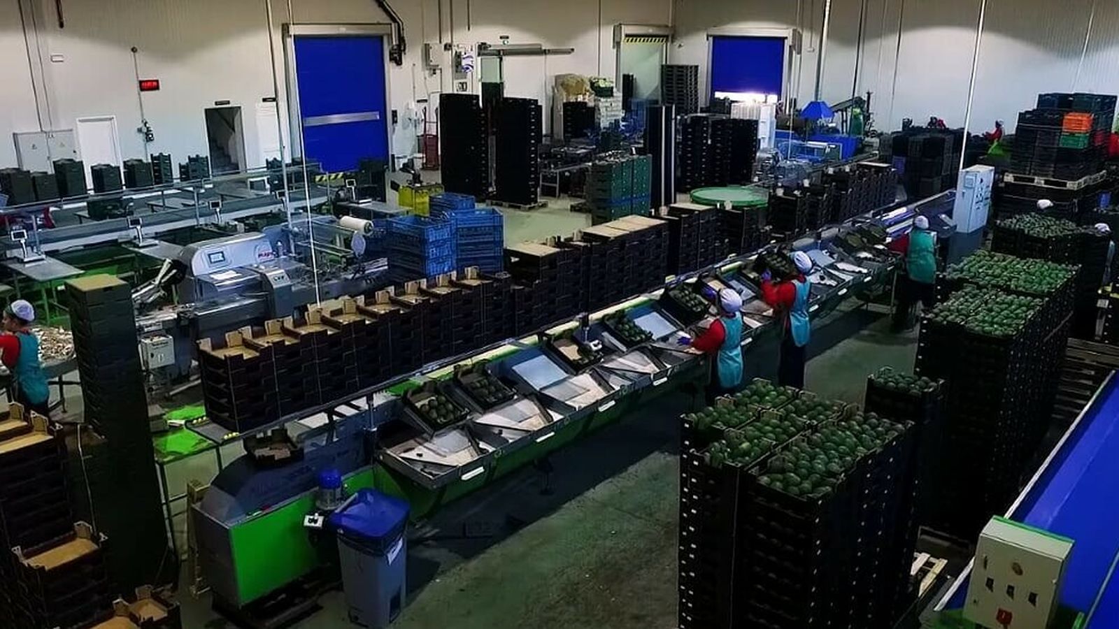 Interior de la nave de Bioalgarrobo.