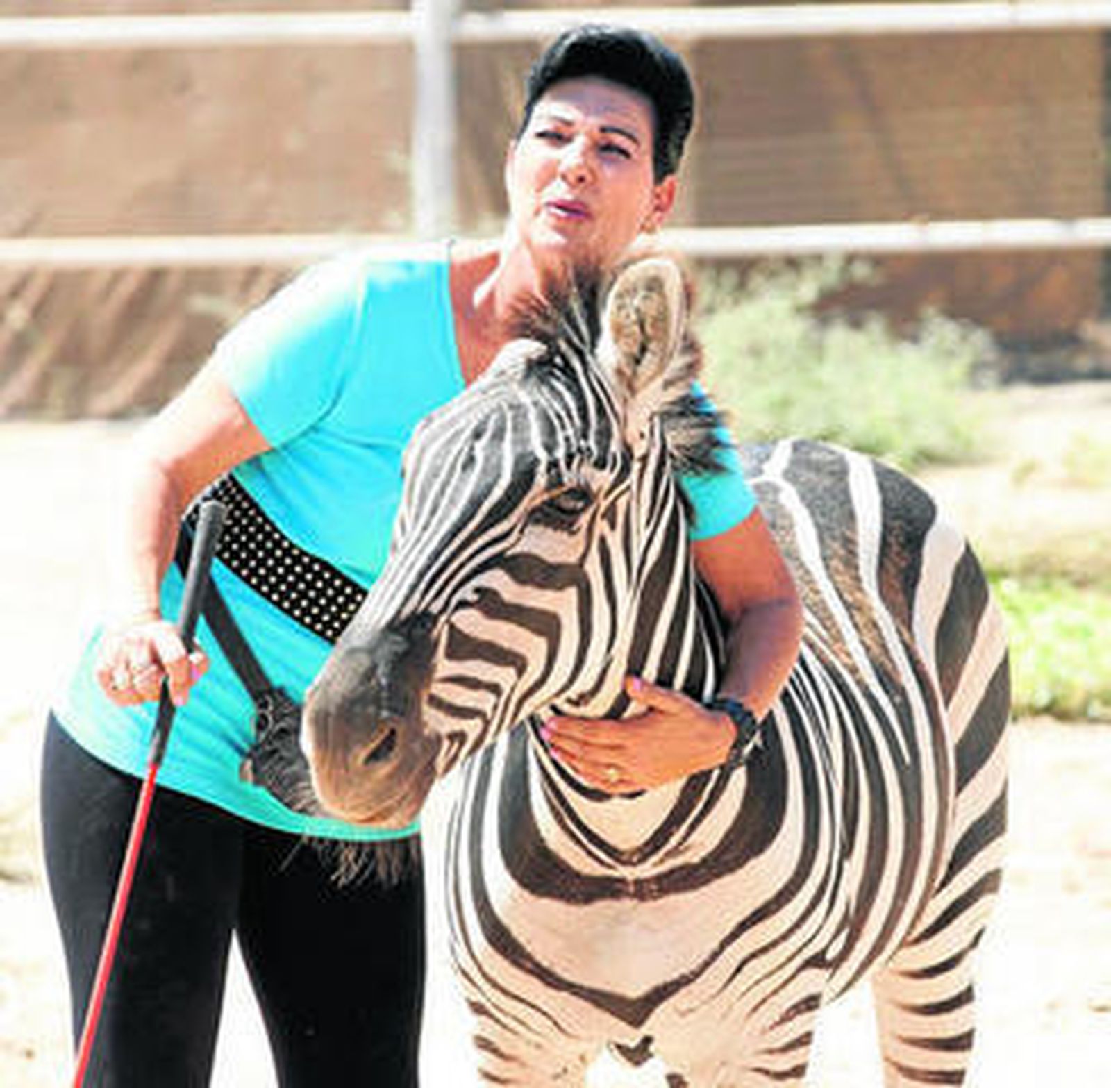 Elena Violet, junto a la cebra Marty, durante una jornada de entrenamiento.