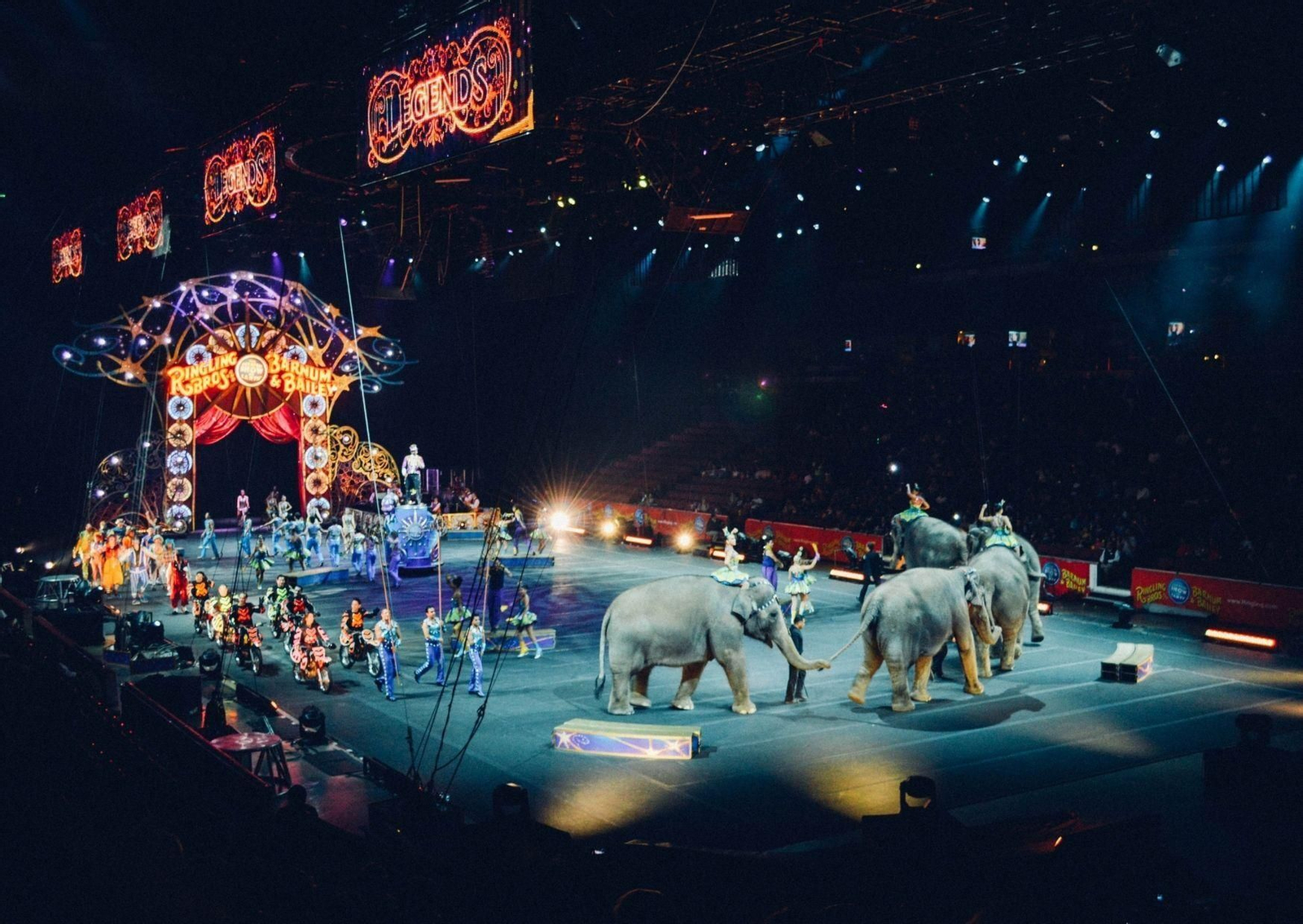 Una pelea entre dos elefantes en un circo abre el debate sobre estos espectáculos