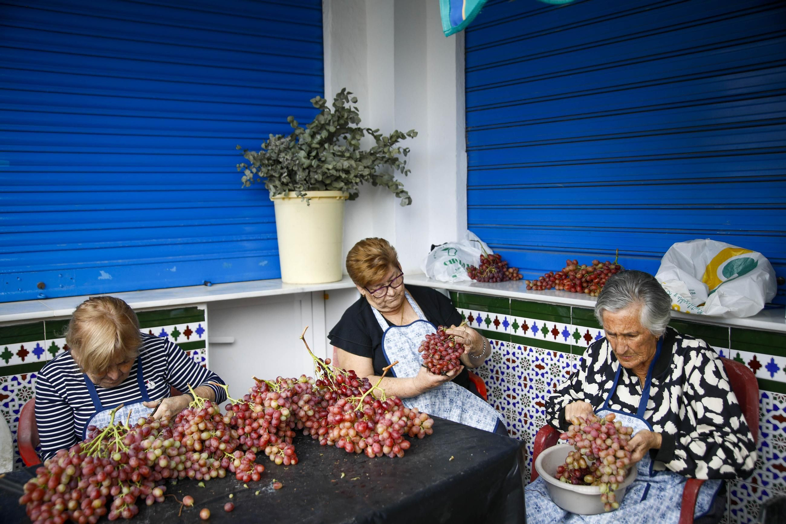 La tradicional faena de la uva de Canjayar, en imágenes