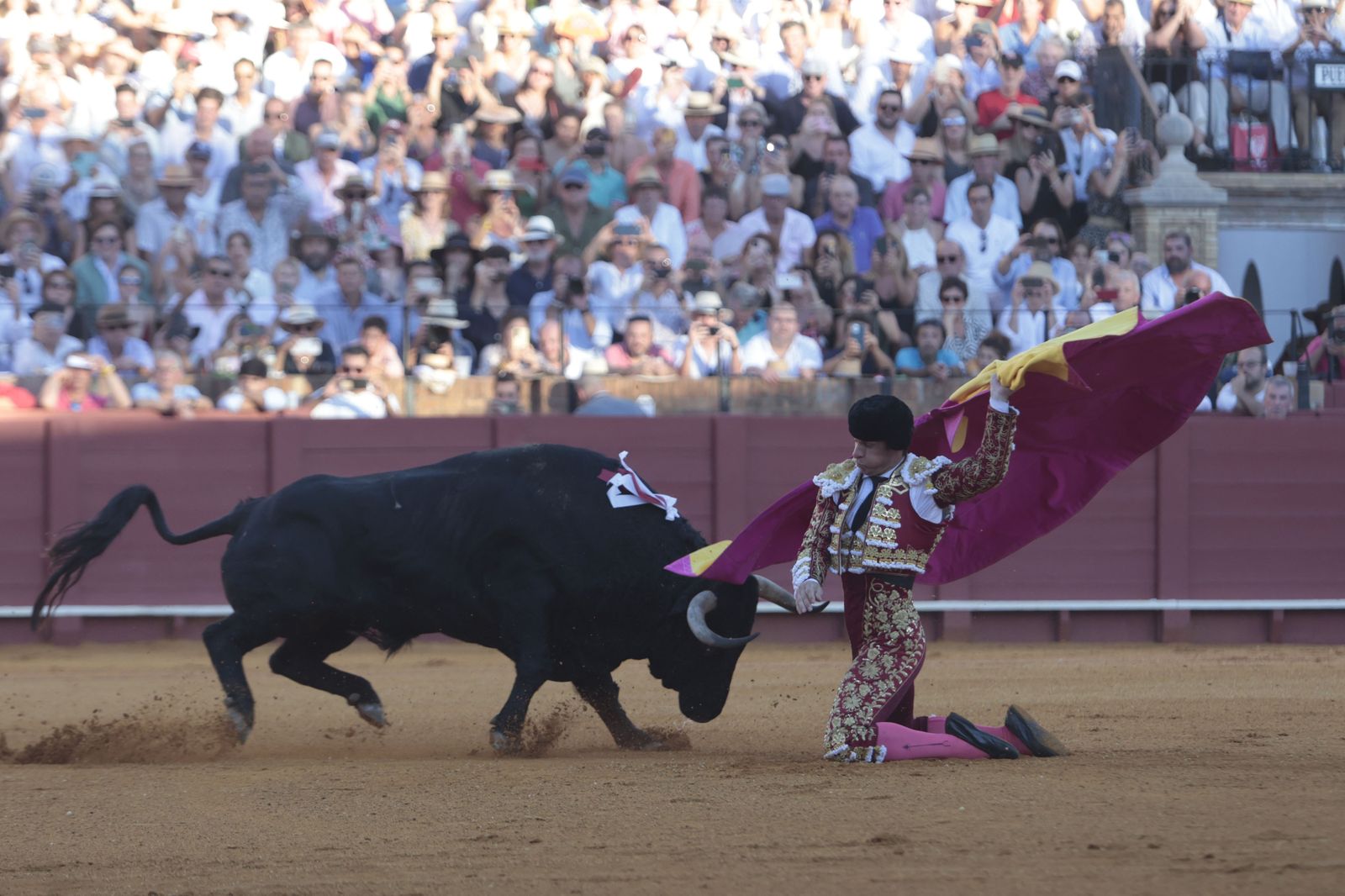 Las imágenes del festejo