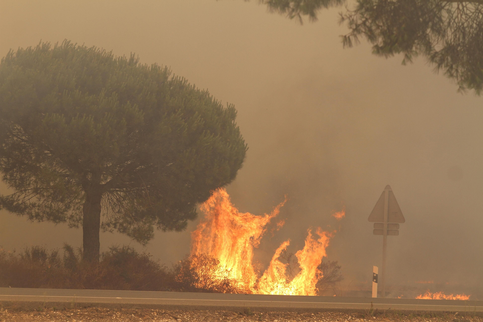 Las imágenes del incendio en Moguer y Mazagón