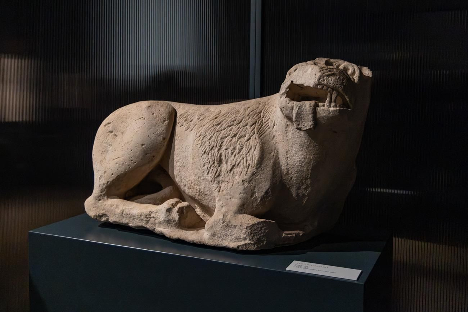 Presentación de la Exposición Seres de Ultratumba