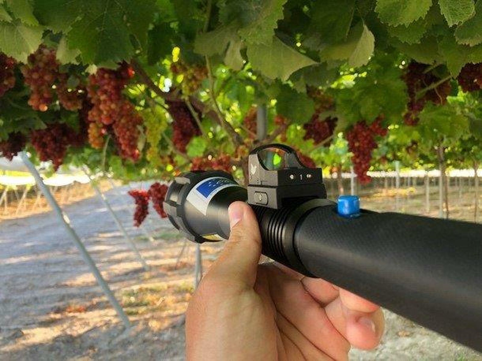 Uno de los dispositivos ensayados en las fincas gaditanas