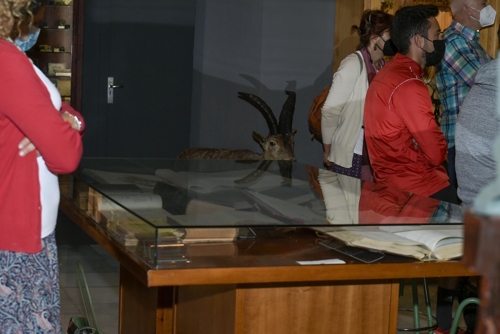 La inauguración del Museo de Ciencia del IES Padre Suárez de Granada, en imágenes