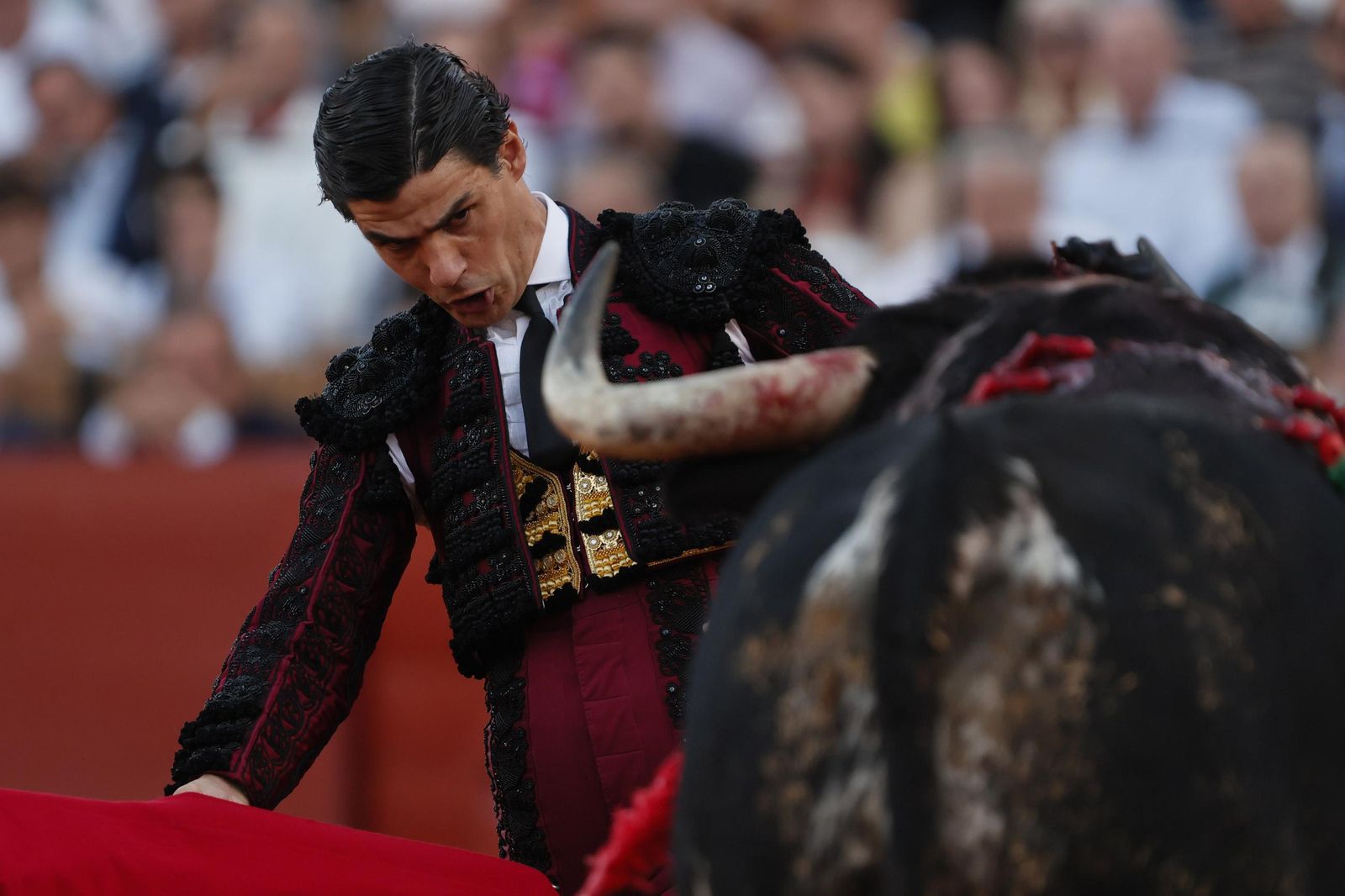 Las imágenes del primer festejo de San Miguel