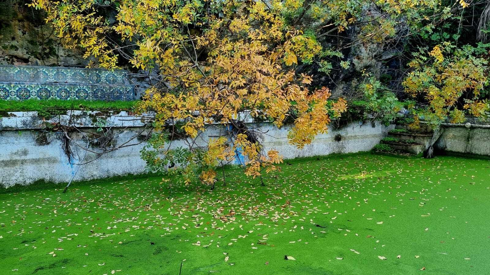Un paseo en fotografías por el Bosque Encantado de Hornachuelos