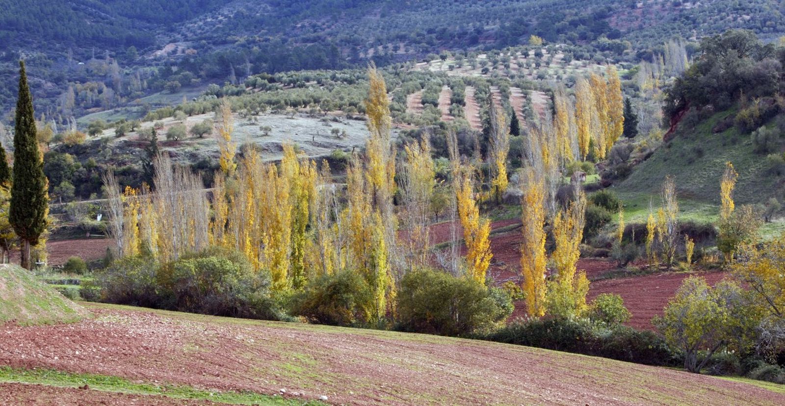 El entorno natural de Villarrodrigo, en la Sierra de Segura, muestra su paisaje de ribera y cultivos, uno de los escenarios donde el invierno transforma el territorio en una postal de escapada rural en Jaén.