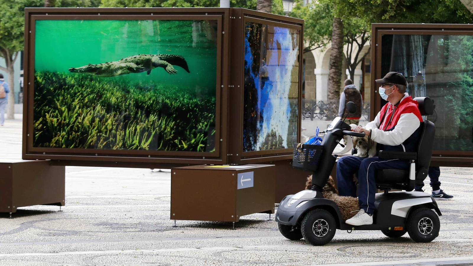 Exposición de 'De Polo a Polo' de The National Geographic en el Arenal