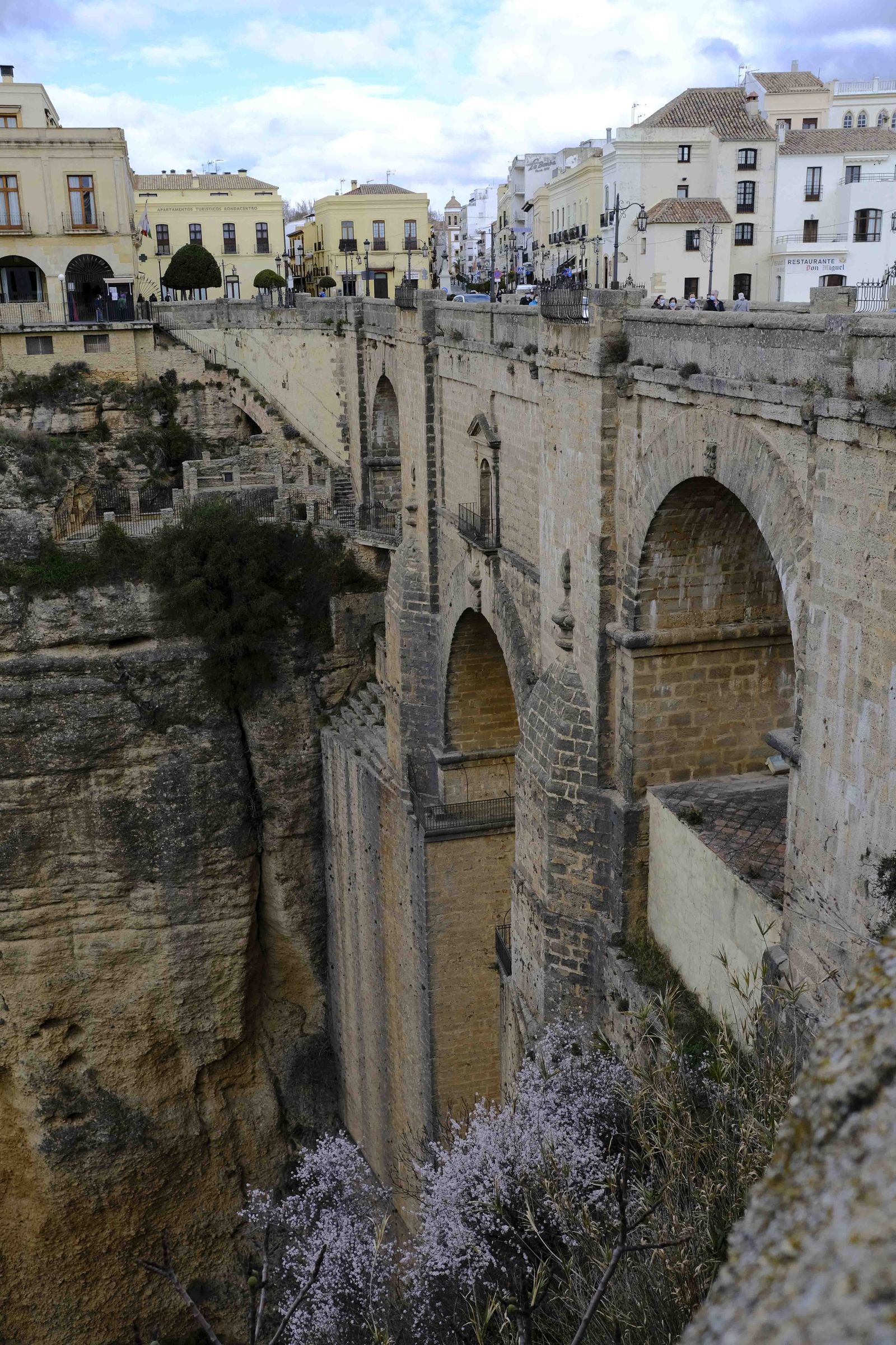 Así lucen los almendros del interior de Málaga en plena floración