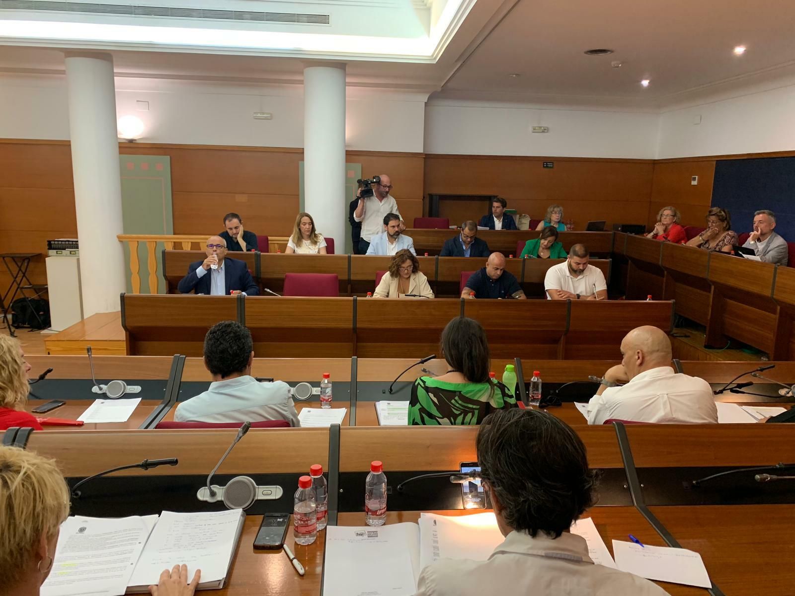 Los concejales de Andalucía Por Sí