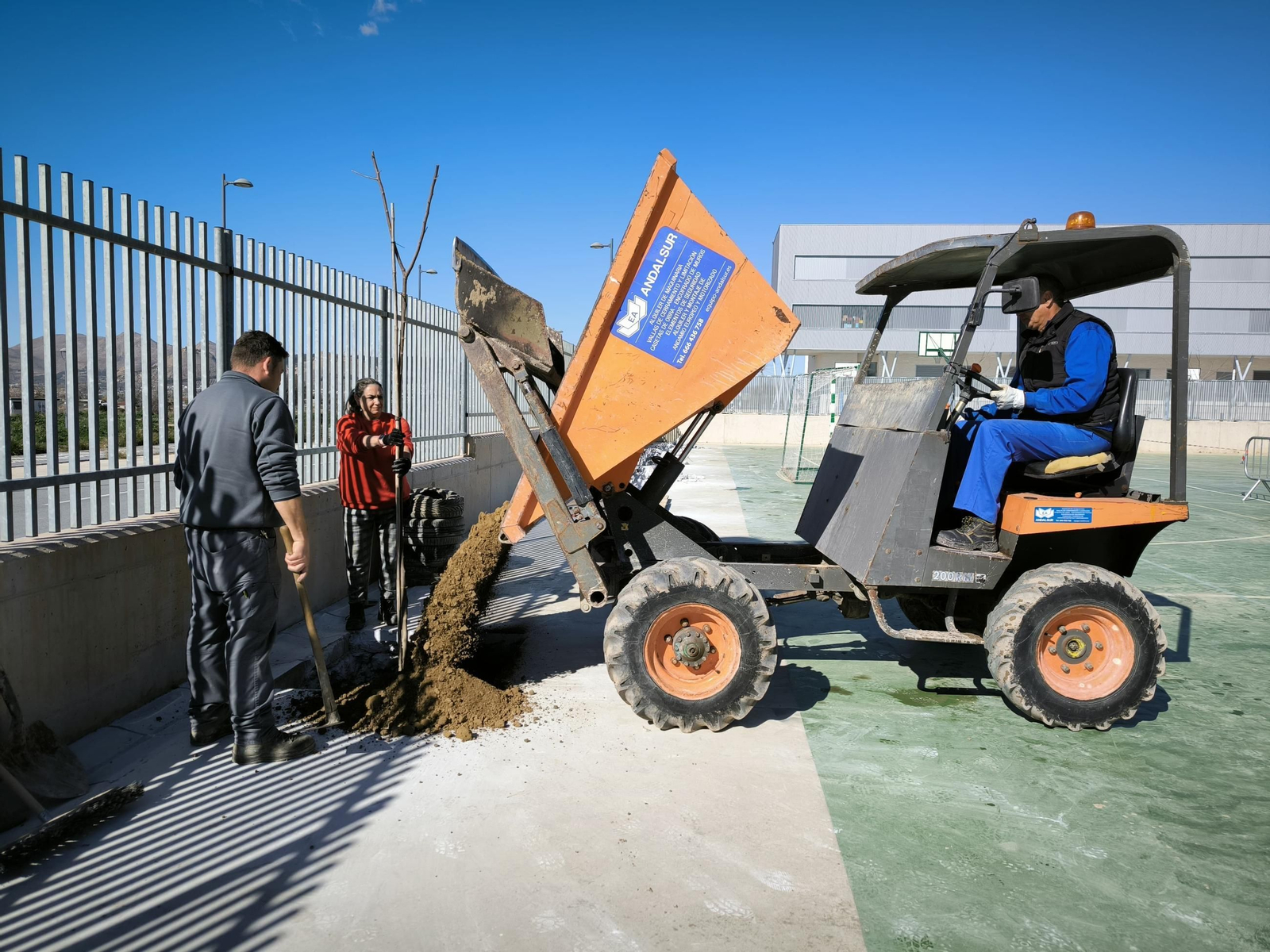 Imagen de la plantación en un centro educativo de Maracena