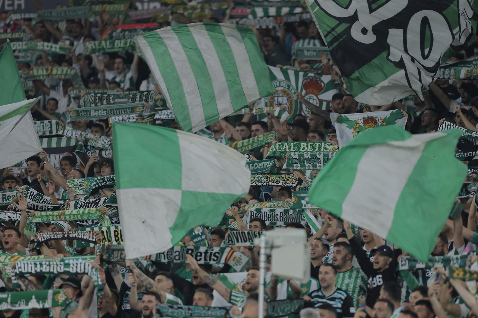 Búscate en las fotos del Betis - Atlético de Madrid