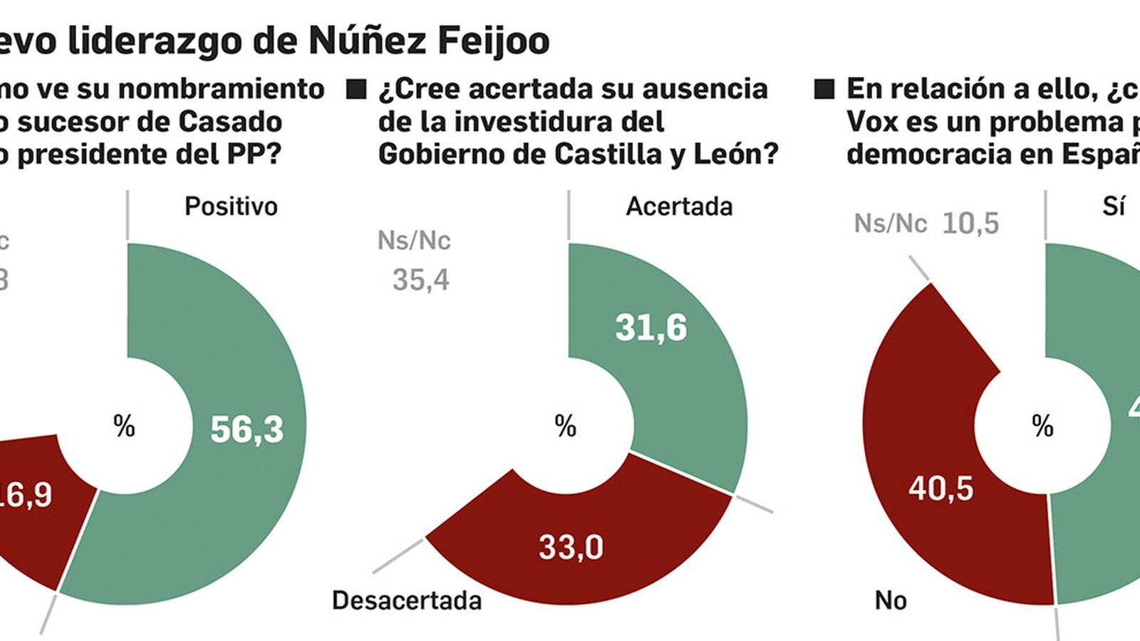 Valoración sobre el liderazgo de Núñez Feijoo. Fuente: DYM.