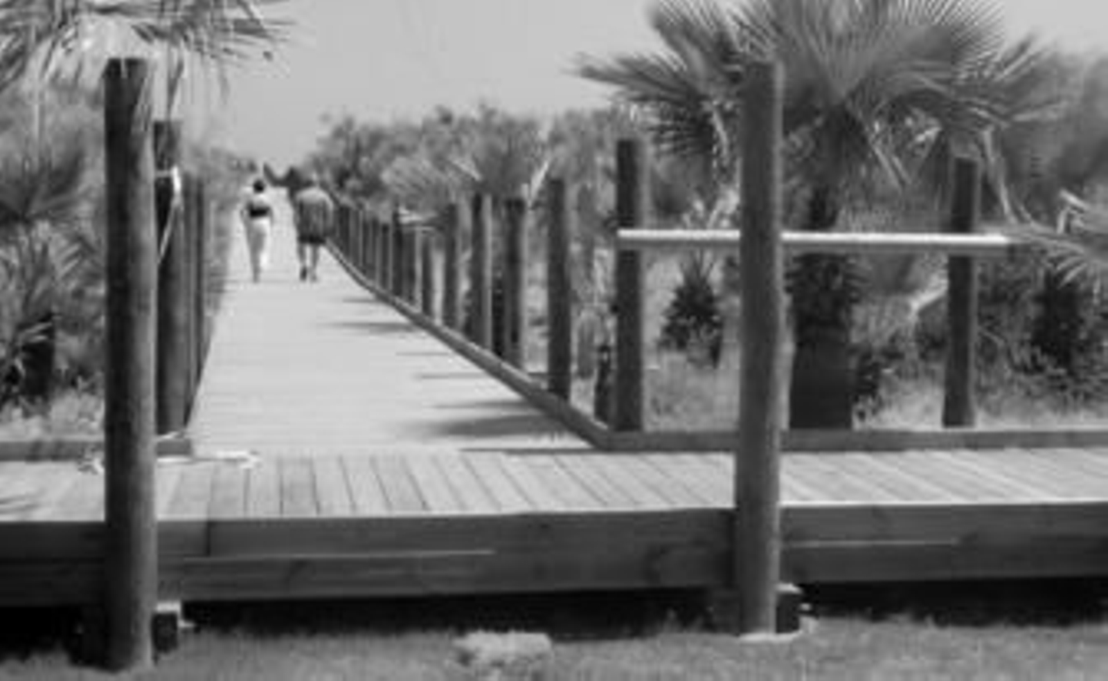 Uno de los puntos elevados para preservar la marisma de Punta del Moral.