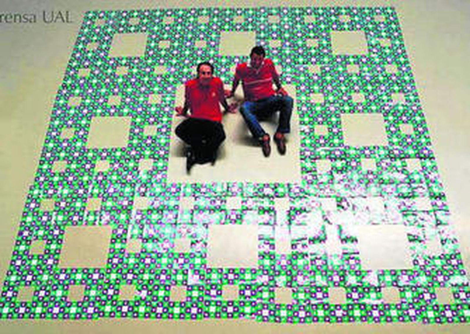 Imagen de la alfombra de Sierpinski que presenta la UAL a concurso.