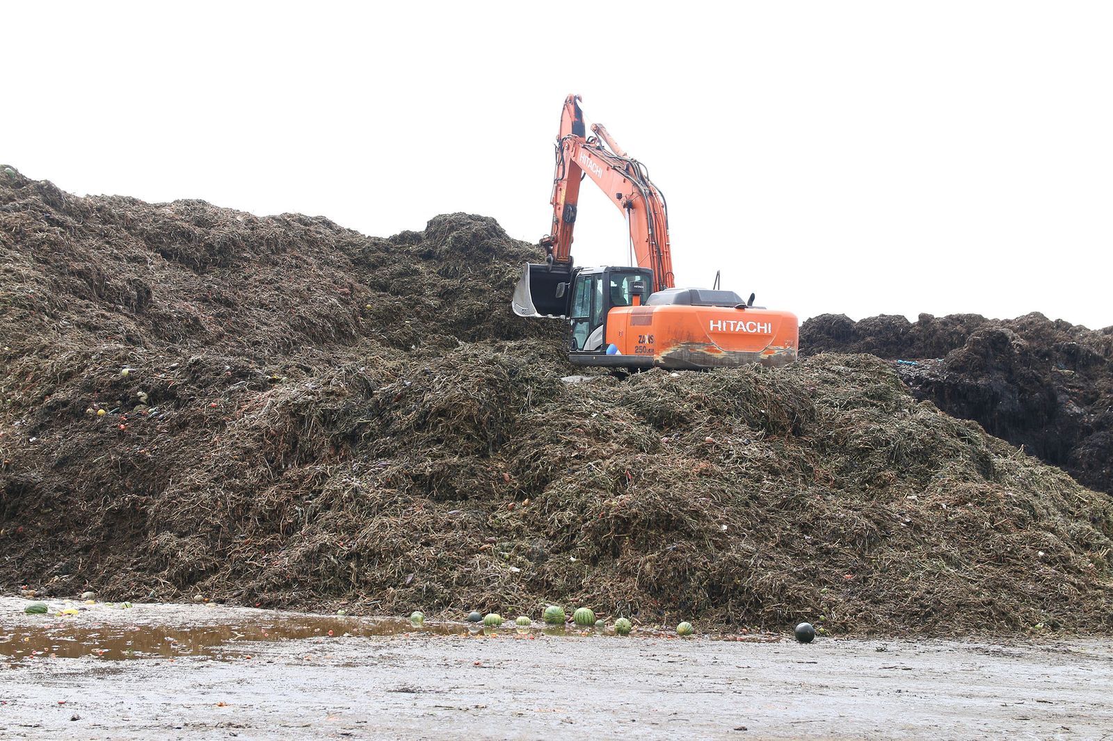 Imagen de archivo de una planta de residuos agrícolas.