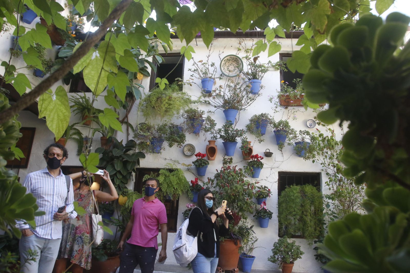 Los Patios en otoño, en fotografías