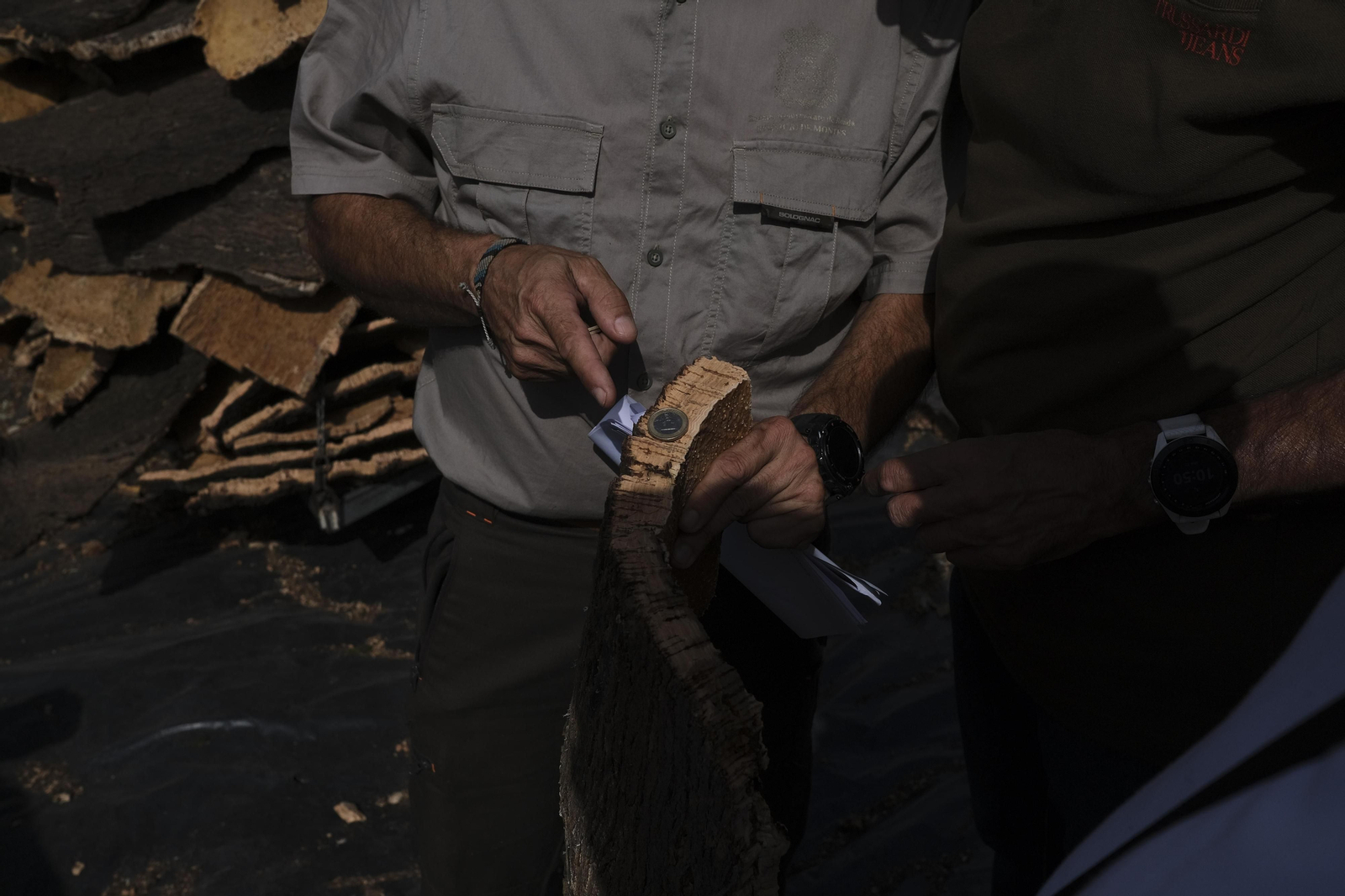 La fotos de la saca del corcho