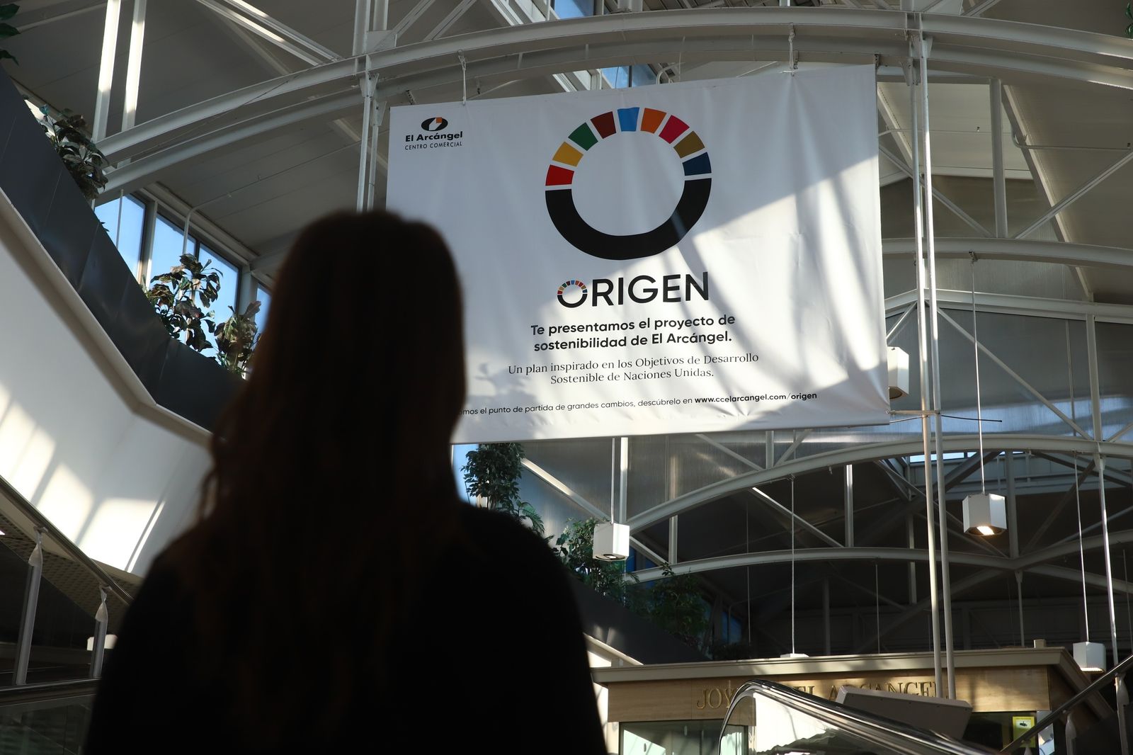 Proyecto 'Origen' del centro comercial El Arcángel.