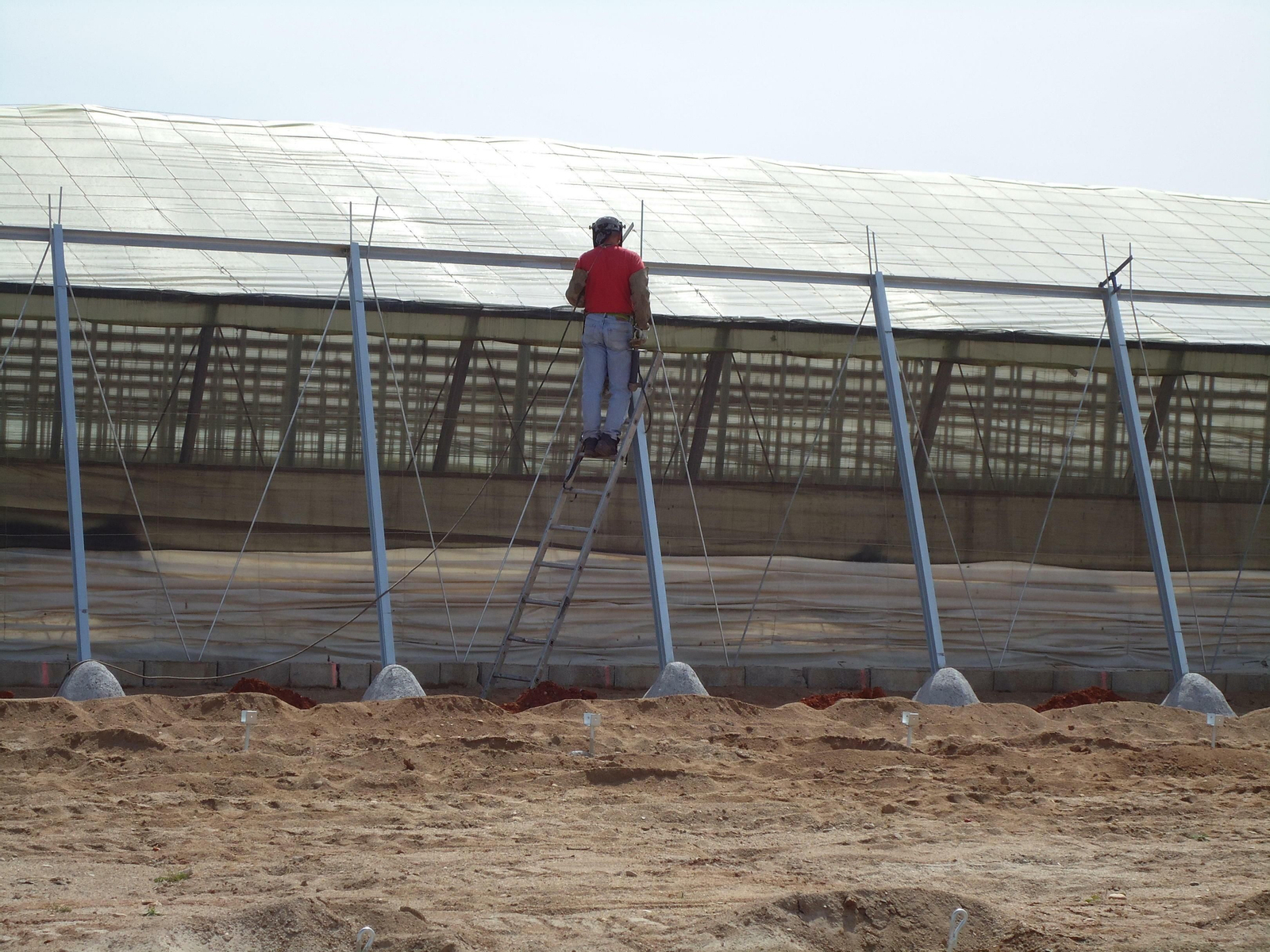 El cultivo bajo plástico protagoniza el mayor descenso